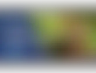 Harnessing Single Case Experimental Design for Evidence-Based Complementary Medicine