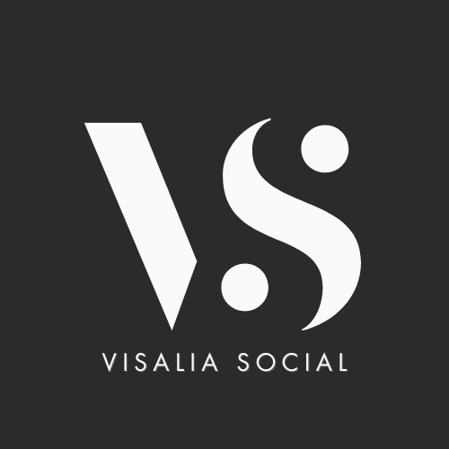 VS logo (1).png