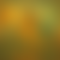 Ante la prueba más dura