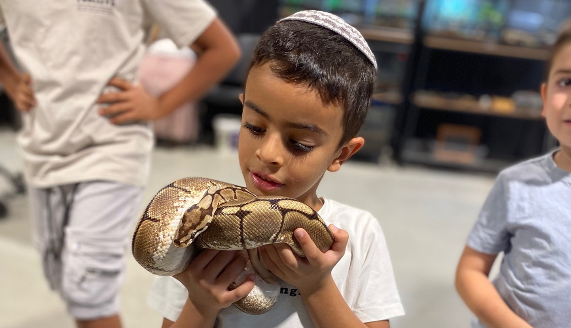 Home | Biblical Museum of Natural History | Israel
