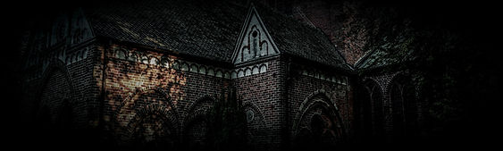 Esther McNally Banner_edited.jpg