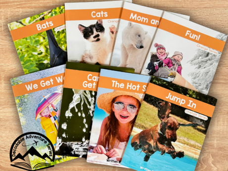 Why Decodable Readers Work