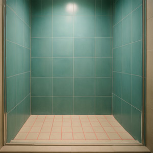 Spa-Like Shower Tile Upgrade