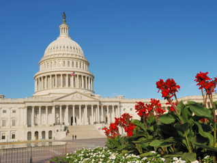 Senate Passes the Halting the Epidemic of Addiction and Loss (HEAL) Act 