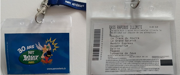 Pass Rapidus Parc Asterix Paris.PNG
