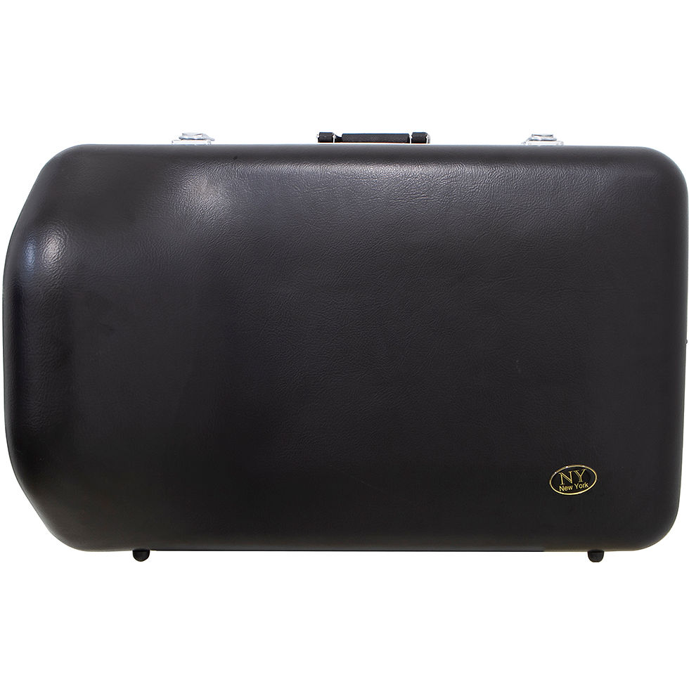 Miniatura: Bombardino Euphonium 4 Pistos Ep 240 Laqueado Dourado Com Case New York