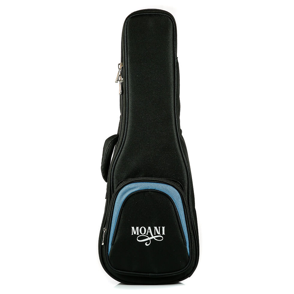 Miniatura: Ukulele Moani WAIKIKI Concerto 23