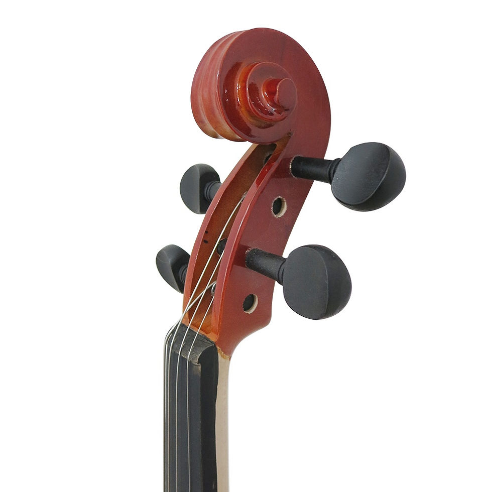 Miniatura: Viola Clássica De Arco Al 1310 4/4 Alan Com Case Arco Breu Cavalete