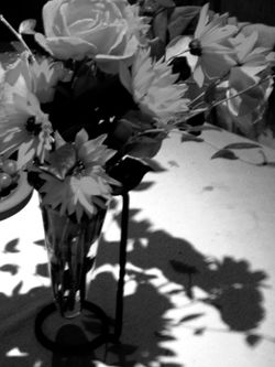 Fiori per il babbo copie