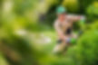 garden-worker-trimming-decorative-garden-plants-2021-08-28-19-19-32-utc.jpg