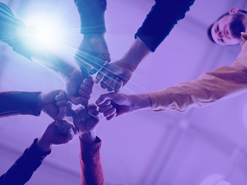 Fists in Solidarity_edited_edited_edited