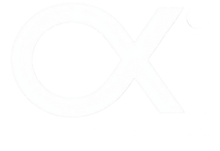 Customer Experience Institute