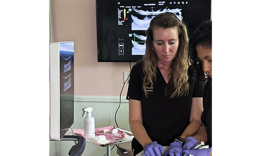 Ultrasound-guided injectable treatment for enhanced precision and safety