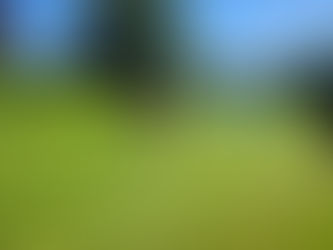 Congratulations to Robert Trentadue on May 25th scored a Hole In One on Hole #11