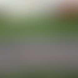 Go Jays Go Jays....we are cheering for you!