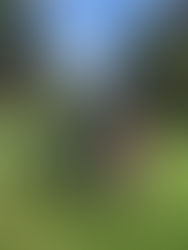 Three new Lil Golf Camp Graduates