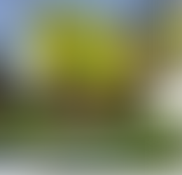 2023 Masters