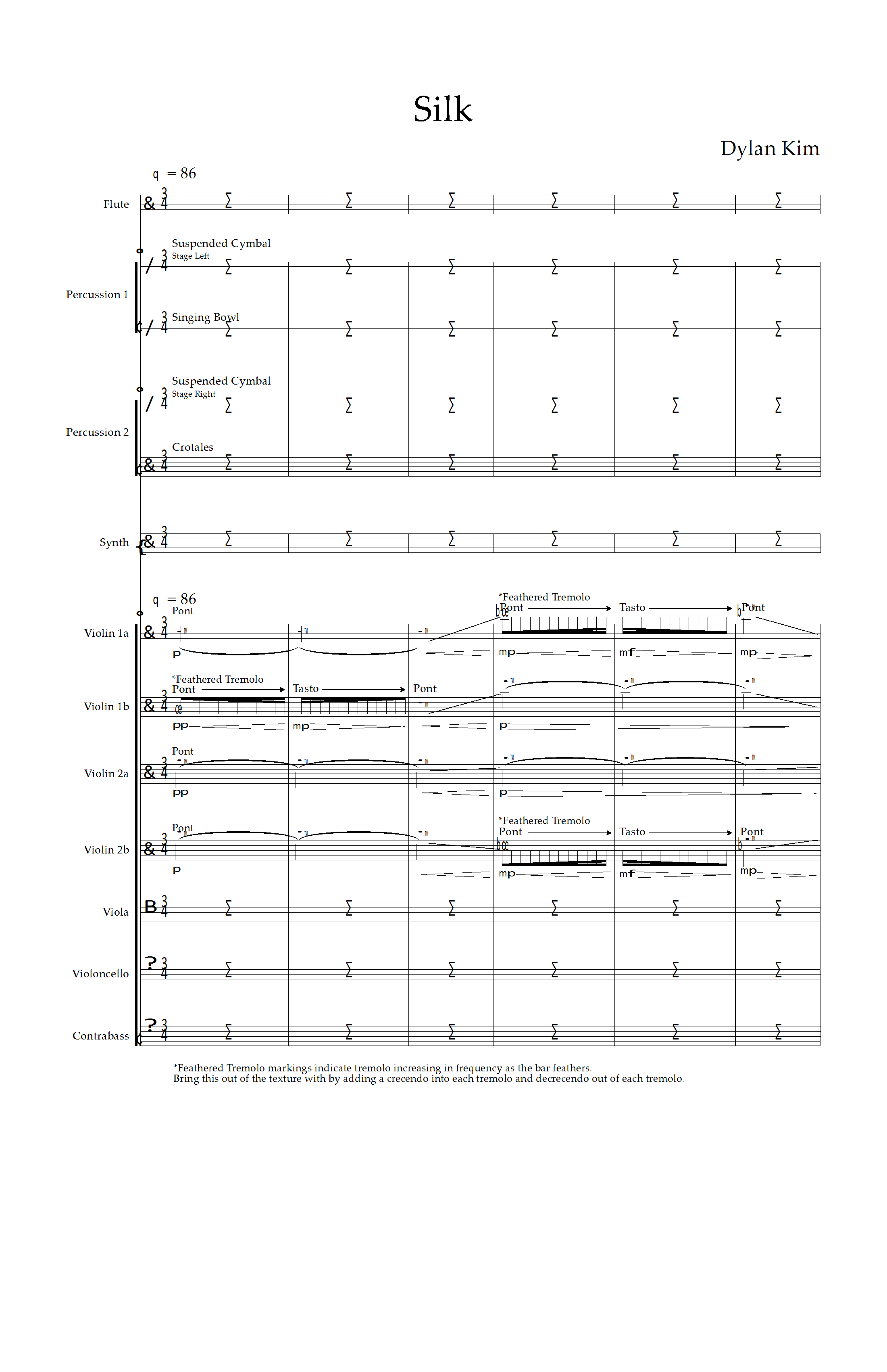 Silk for Strings, Percussion, and Synth by Dylan Kim