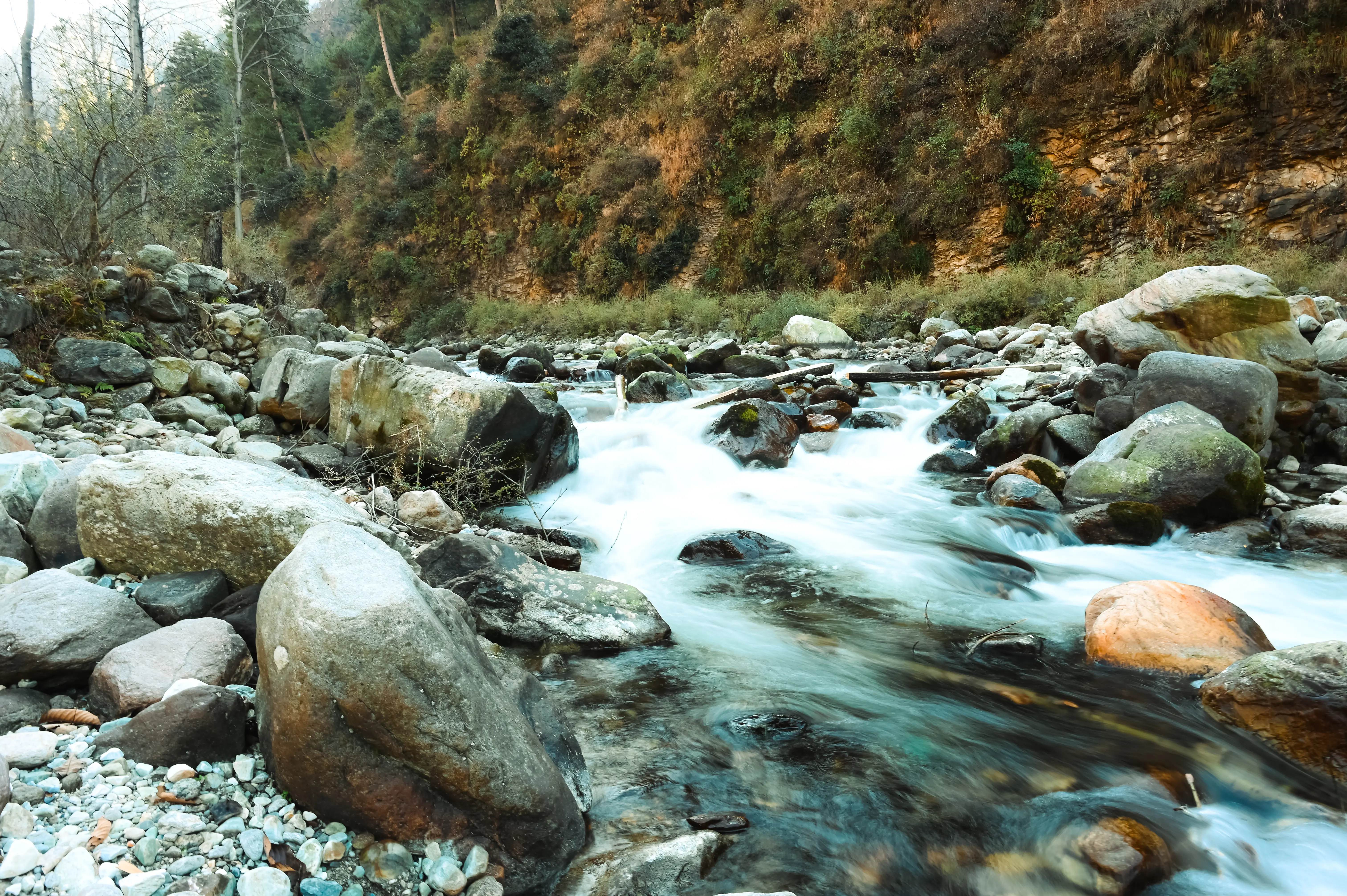 DSC_0941.webp