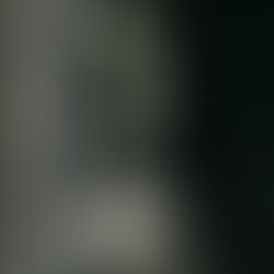 Through the Wynds and Narrow Ways