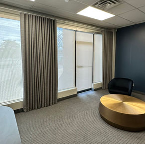 expert window treatment advice