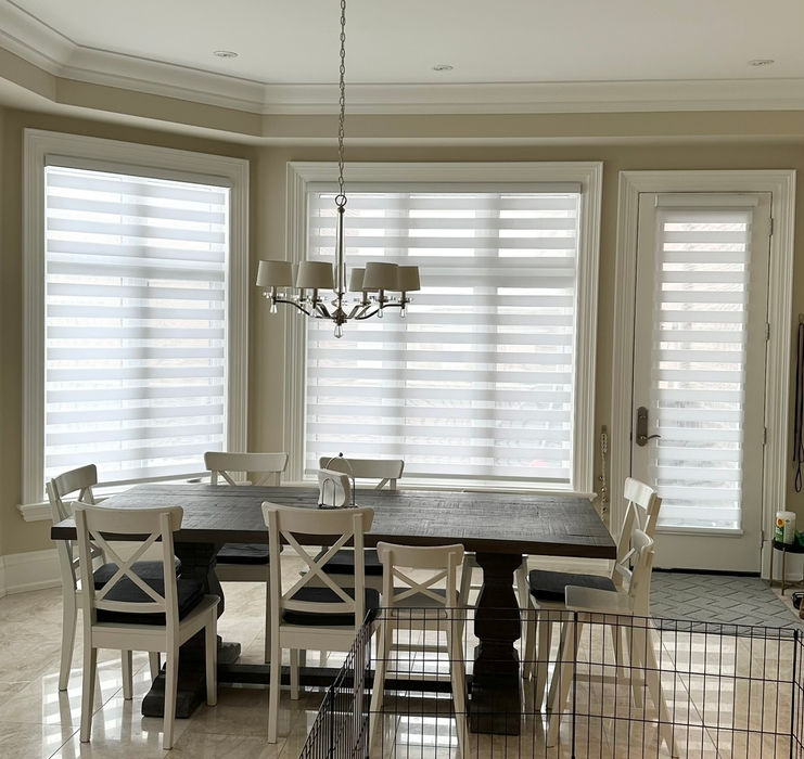 transitional shade window blinds