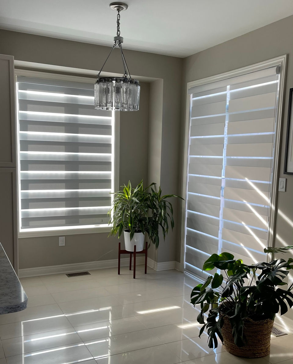 Zebra Shade