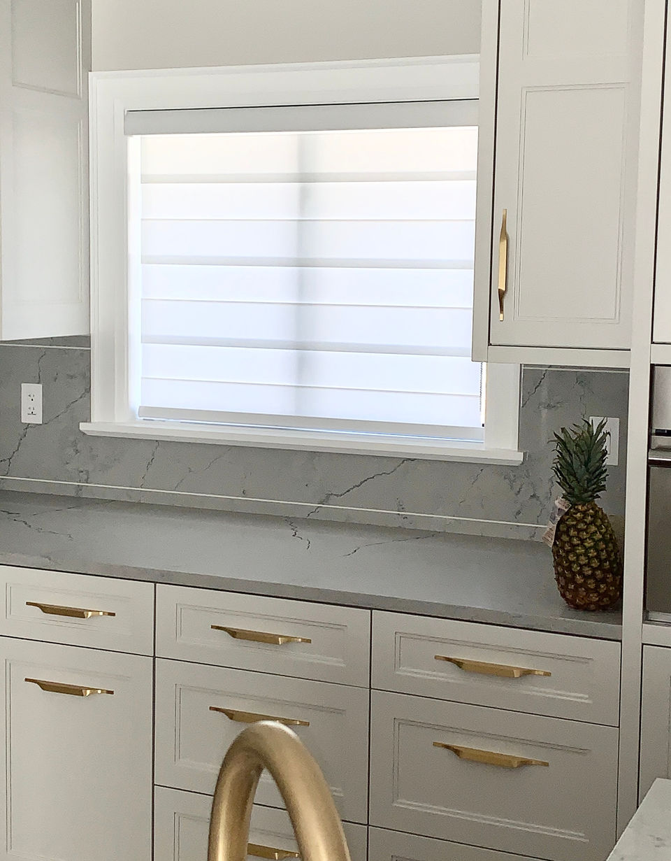 transitional shade window blinds