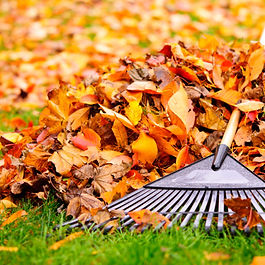 Rakes are used to sweep away any leaves or debris that fall. They come in a wide variety of styles and sizes, the best rake to use as a starter is just an average leaf rake.
You can also get an adjustable rake as this will do the job of more than one tool by reaching into narrow areas or gathering very large piles of leaves. You should also note that using a rake with steel tines may be stronger but they will also be rougher on delicate lawns than a plastic one would be,