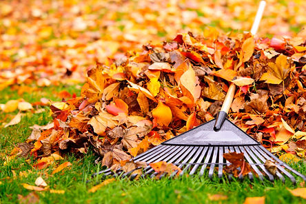 Rake