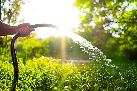 Garden hose