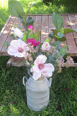 magnolia with spray 2.JPG