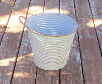 plant tin.JPG