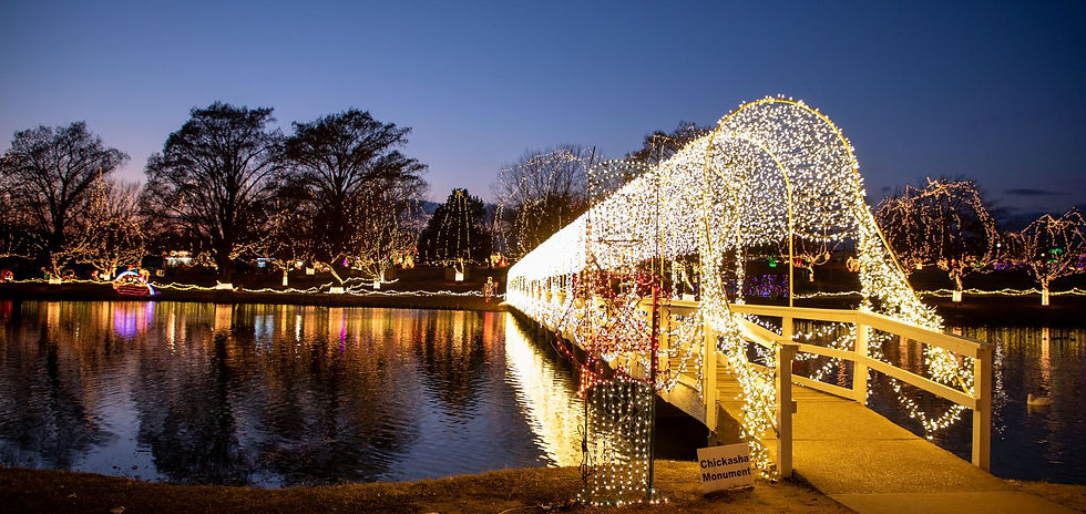 1707837837_chickasha-festival-of-lights-ld-2858.jpg