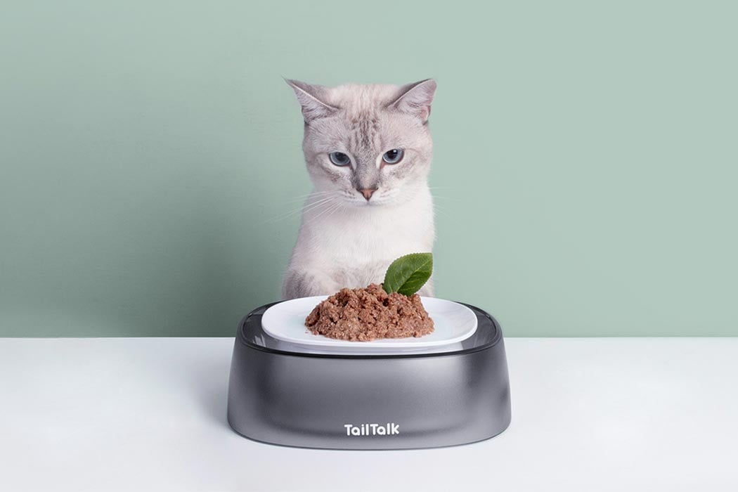 TailTalk Pet Bowl