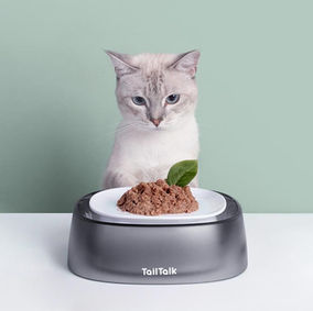 TailTalk pet bowl