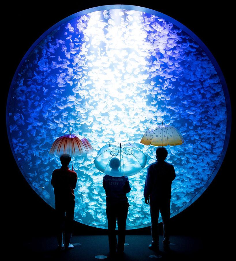 Umbrellas by YOU + MORE! reproduce the beauty of jellyfish