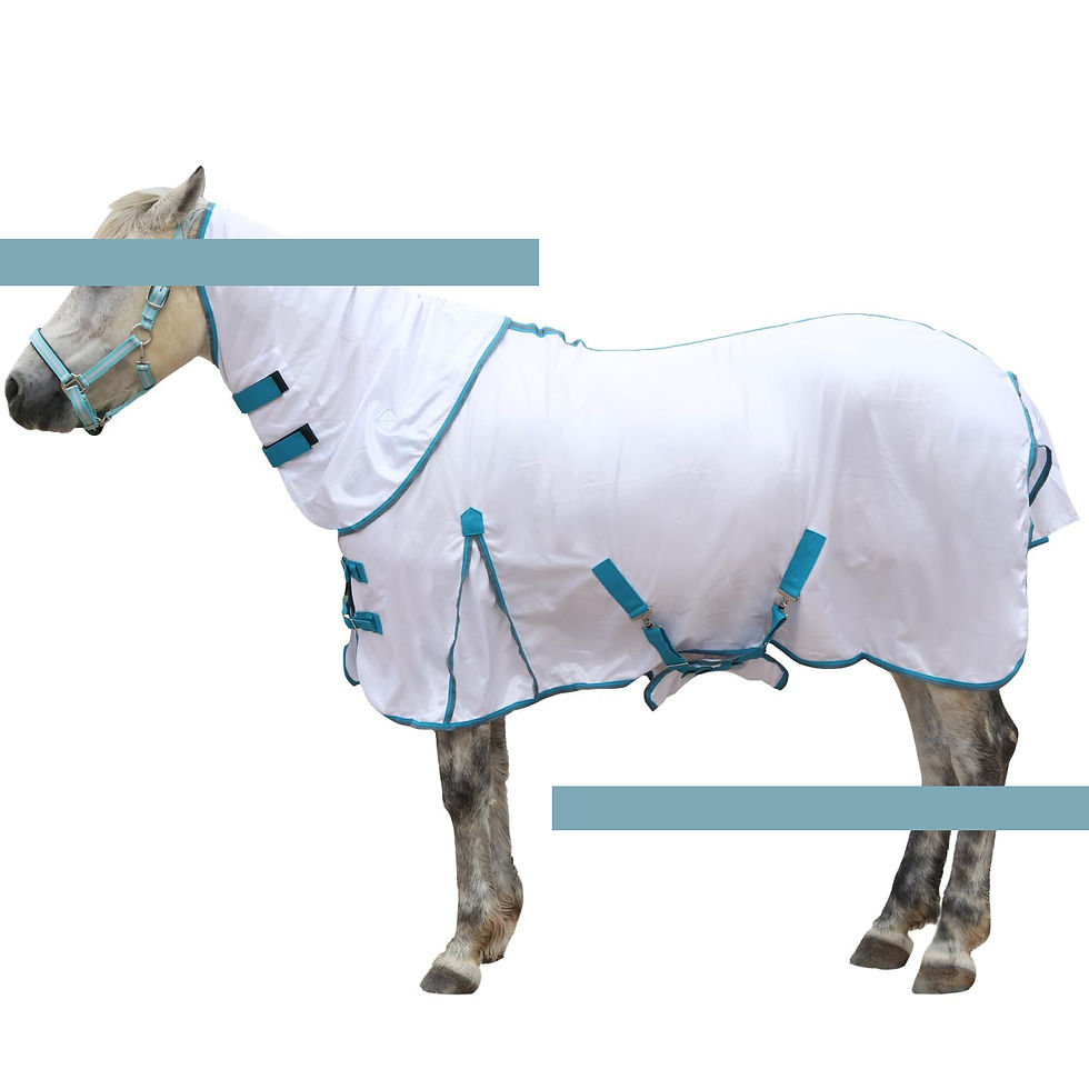Summer Fly Sheet for Horses