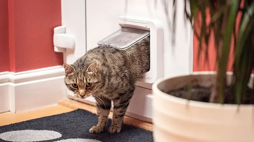 A Smart Cat Flap