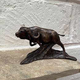 Safari Bronze