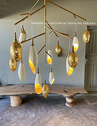 Seedling Designs