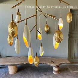 Seedling Designs