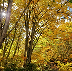 DSC_1148~2 (1)_edited.png