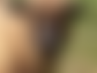 Punky - Purebred Babydoll Ewe