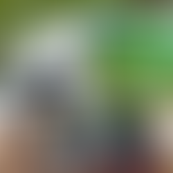 The SOS refrigerated truck supported by the GGP Grant since 2023