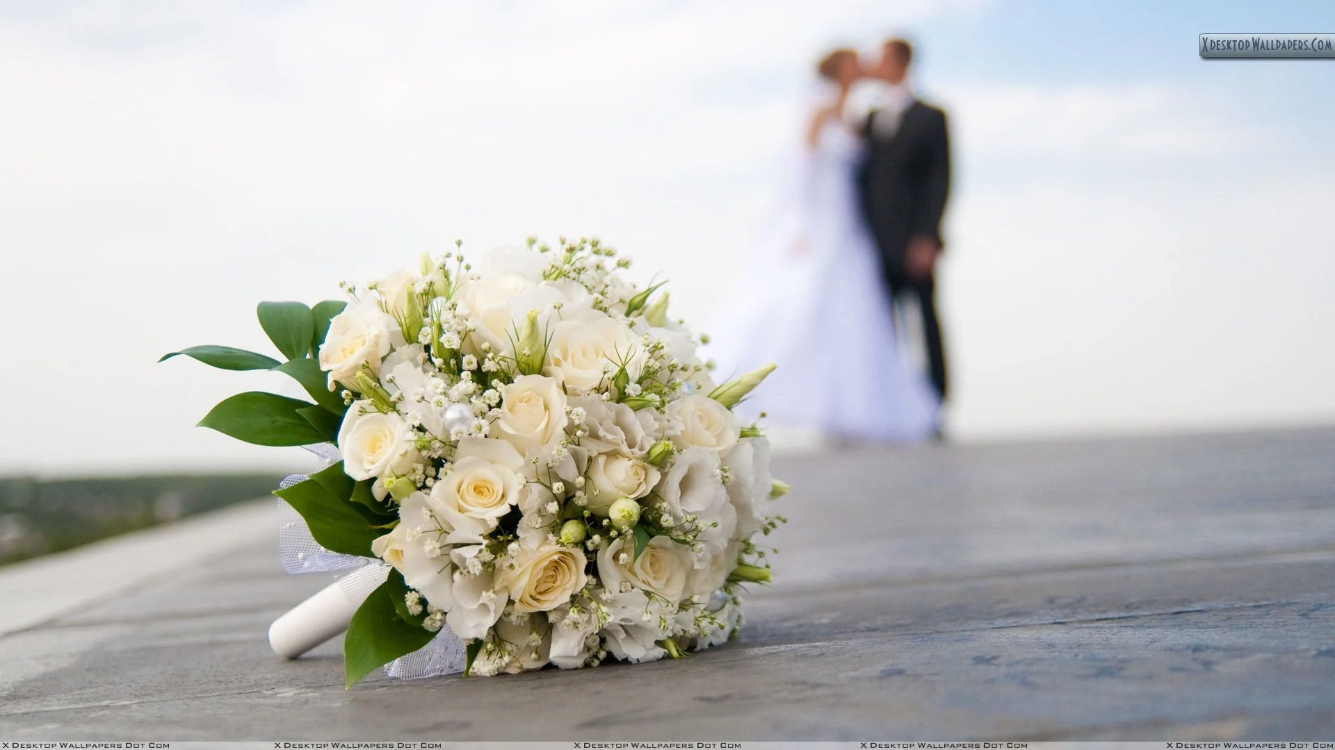 1177860.webp