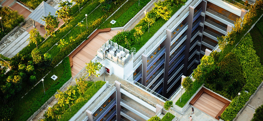 Green Roofs