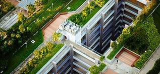 Green Roofs