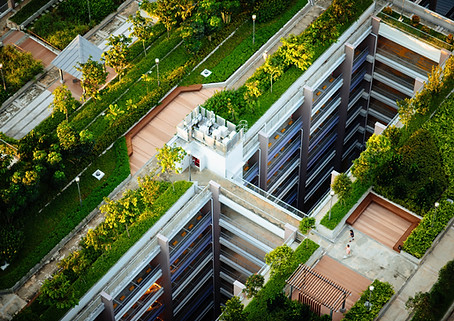 Green Roofs