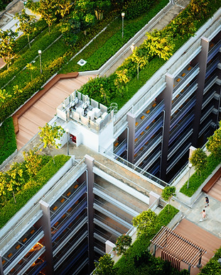 Green Roofs